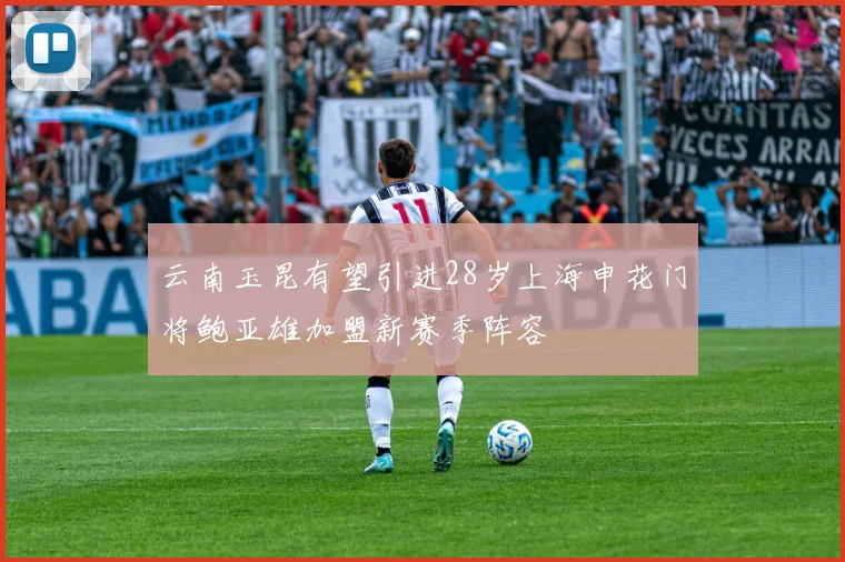 云南玉昆有望引进28岁上海申花门将鲍亚雄加盟新赛季阵容
