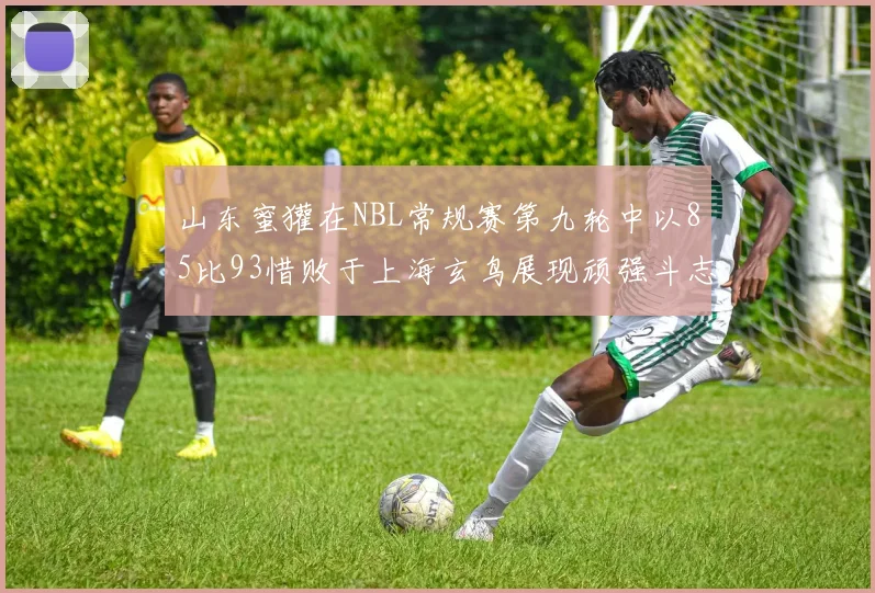 山东蜜獾在NBL常规赛第九轮中以85比93惜败于上海玄鸟展现顽强斗志