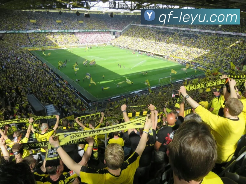 乐鱼体育平台生态图