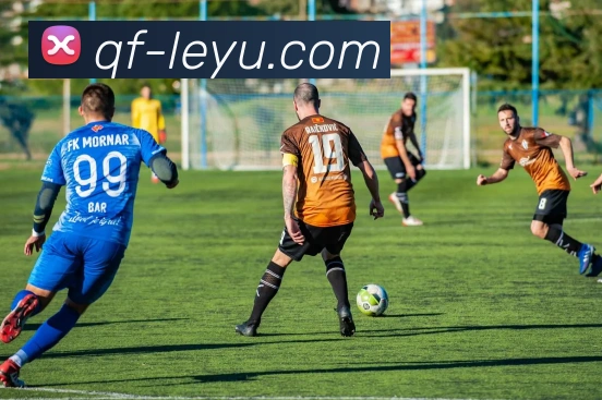 乐鱼体育APP 封面图